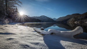Germany, Bavaria, Allgäu, Alpsee Germany, Bavaria, Allgäu, Alpsee